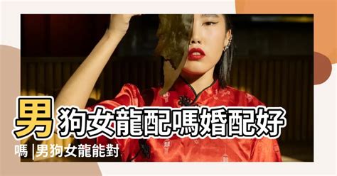 龍女狗男|【男龍女狗】男龍女狗婚配：愛情之路有波折，但終究會修成正果。